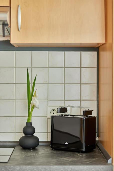 Apartment Mona - Idyllisches Oertchen Buchen (Odenwald, Baden-Wurttemberg)